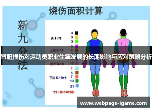 肾脏损伤对运动员职业生涯发展的长期影响与应对策略分析 肾脏损伤对运动员职业生涯发展的长期影响与应对策略分析