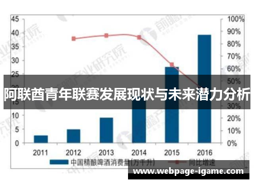 阿联酋青年联赛发展现状与未来潜力分析