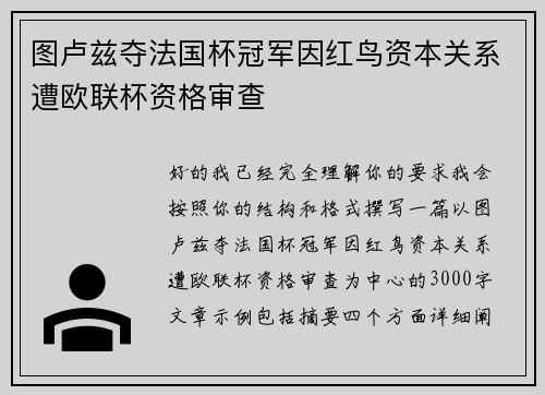 图卢兹夺法国杯冠军因红鸟资本关系遭欧联杯资格审查